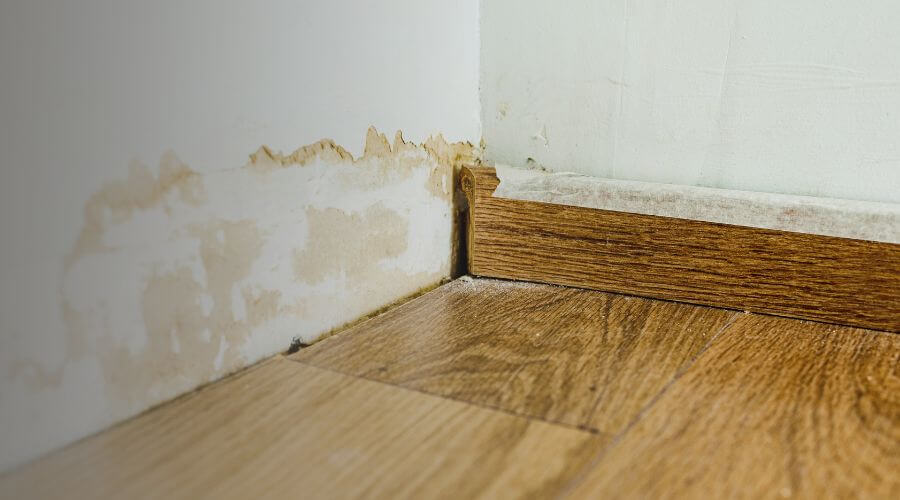 Why choose Friendly Water Restoration for water damage restoration in Coolidge, AZ